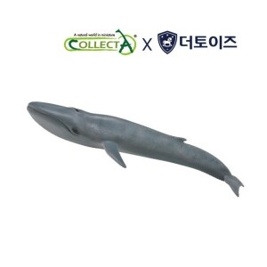 컬렉타 흰긴수염고래(흰수염고래,대왕고래)
