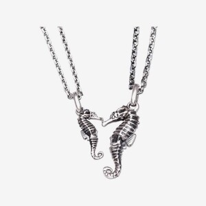 해마 목걸이, Sea horse necklace